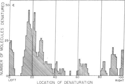 graphic file with name pnas00128-0216-b.jpg