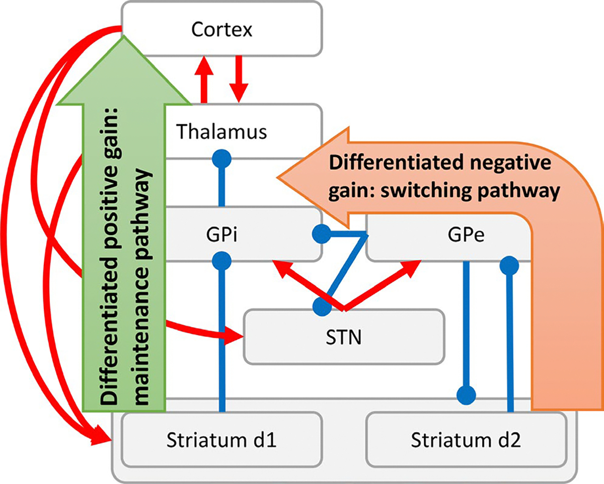 FIGURE 1