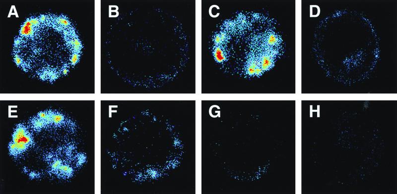 FIG. 7