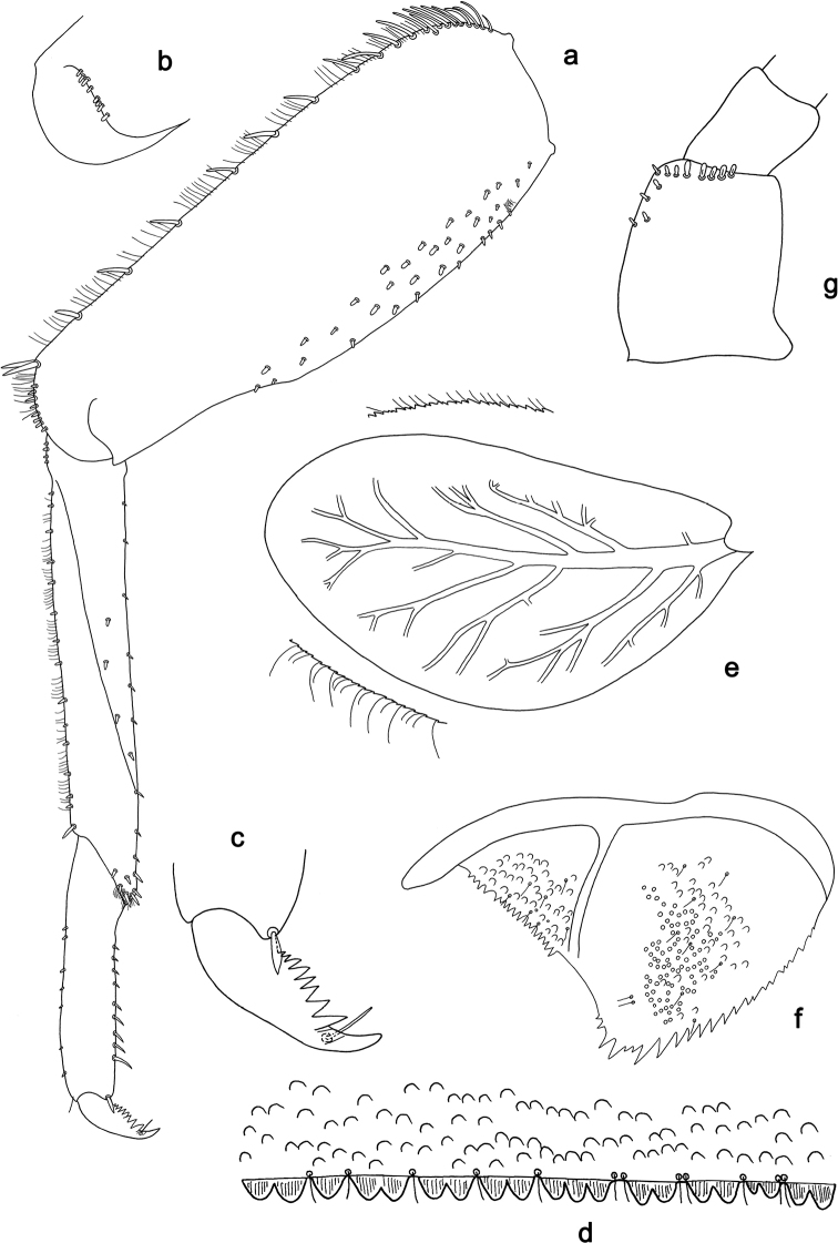 Figure 21.