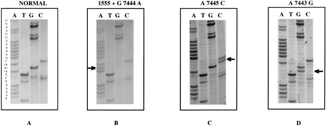 Figure  2