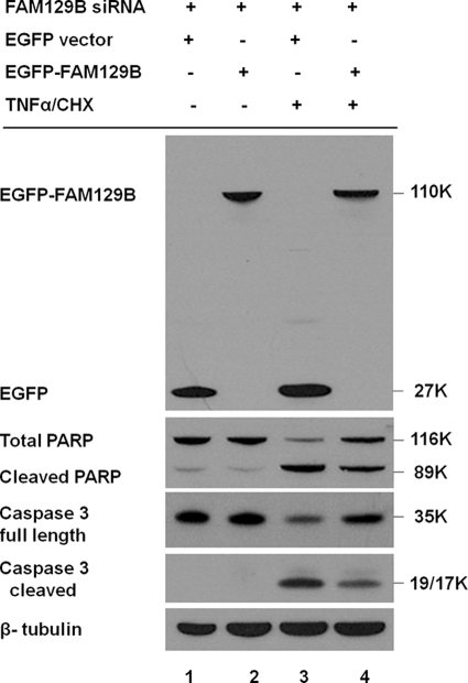 FIGURE 9.