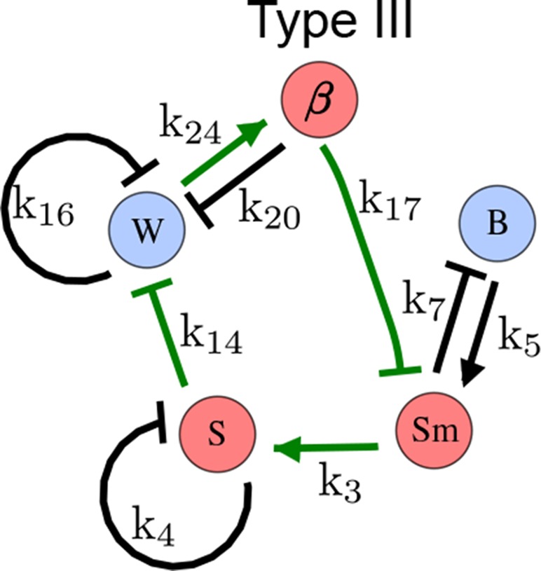 Appendix 6—figure 5.