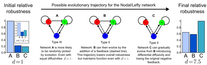 Figure 3—figure supplement 1.