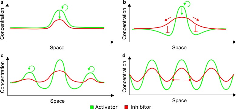 Appendix 3—figure 1.