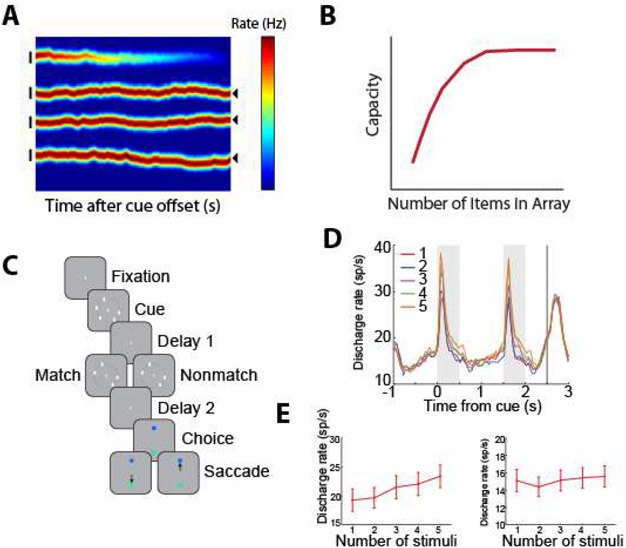 Figure 10.