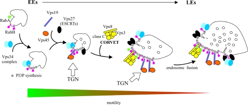 Figure 11.