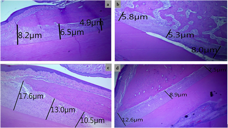 Figure 4