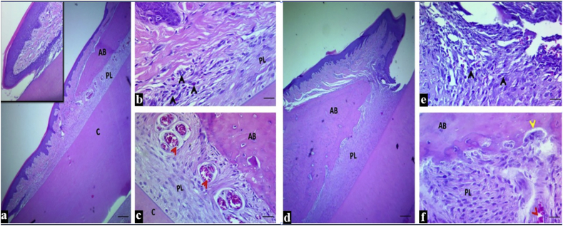 Figure 3