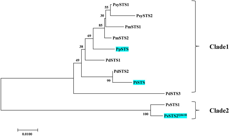 Fig. 2