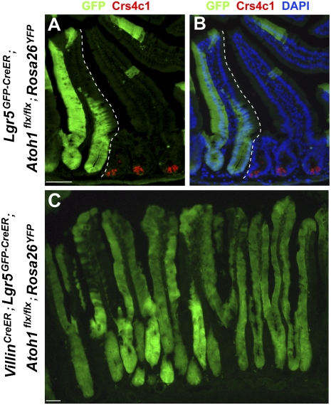 Fig. 4.