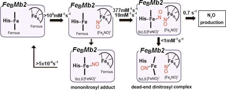 Scheme 3