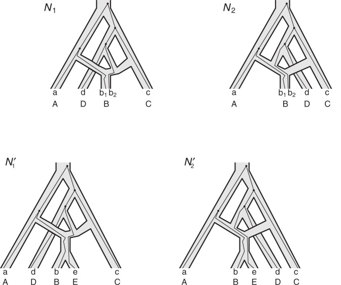 Figure 5.