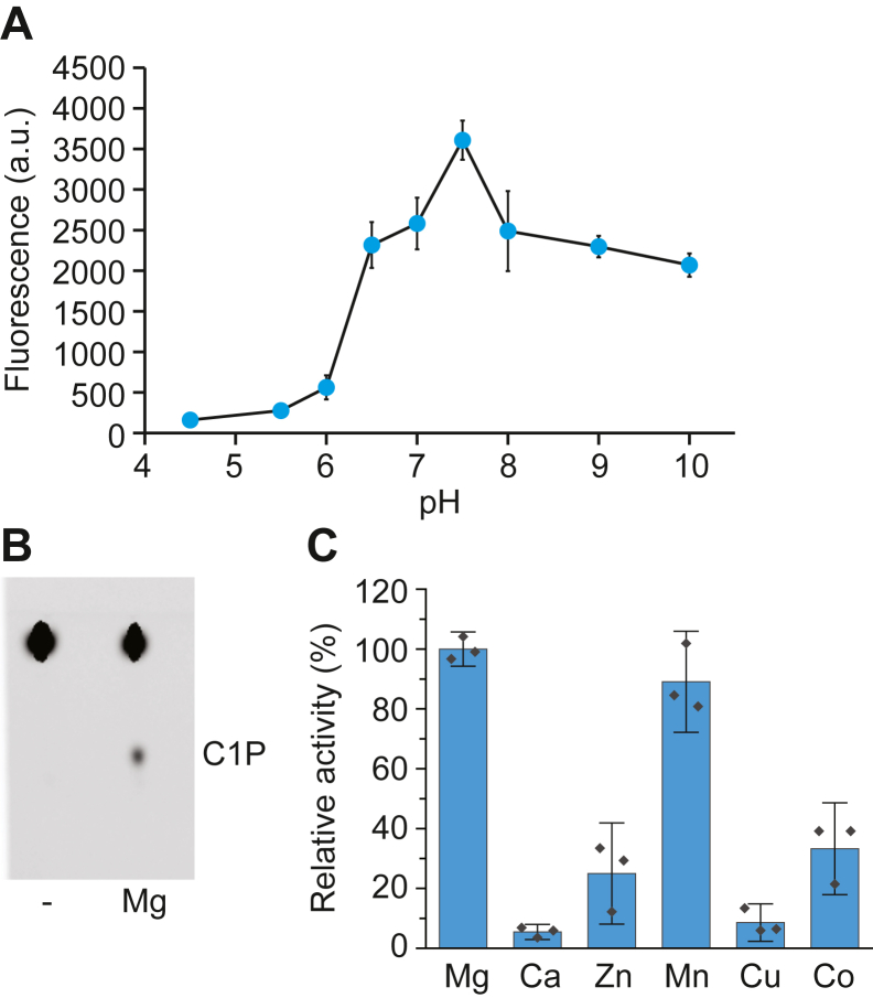 Figure 4
