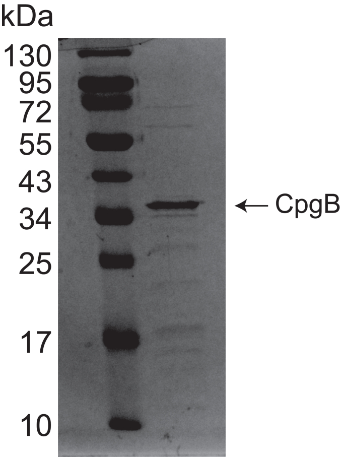Figure 2