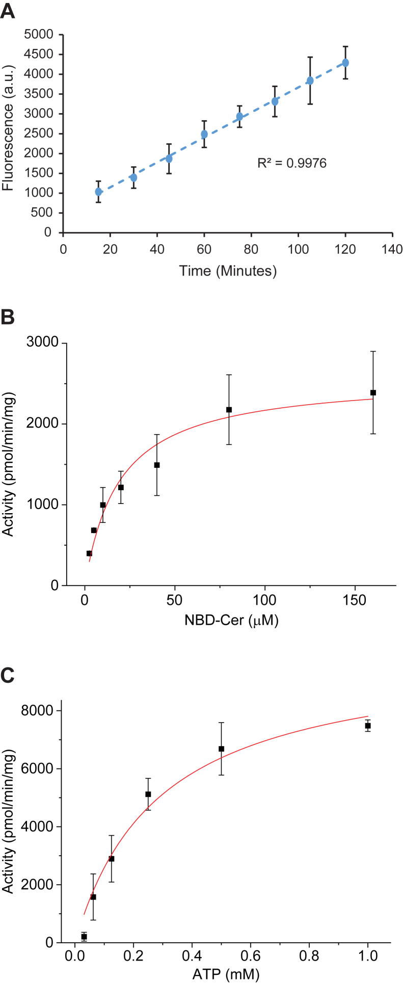 Figure 5