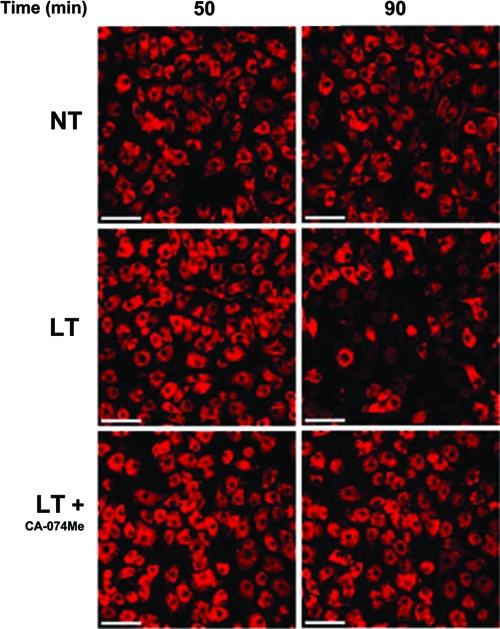 FIG. 6.