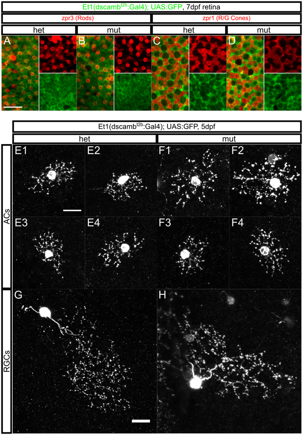 Figure 6 –