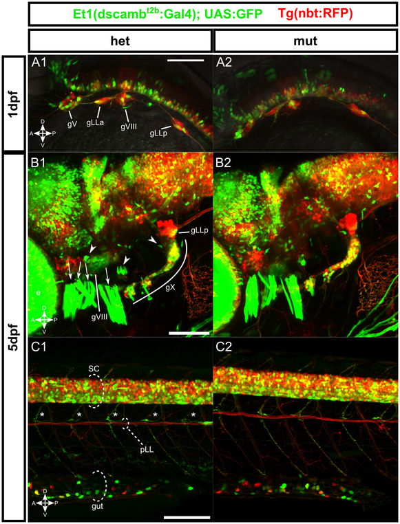 Figure 2 –