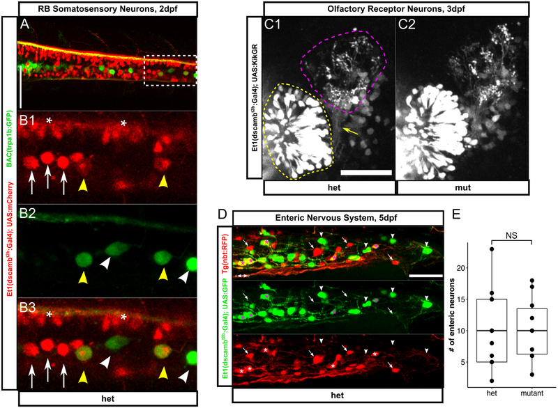 Figure 3 –