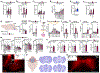 Extended Data Fig. 4 |
