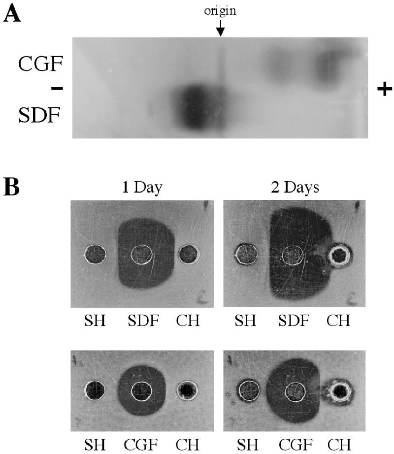 Fig. 10