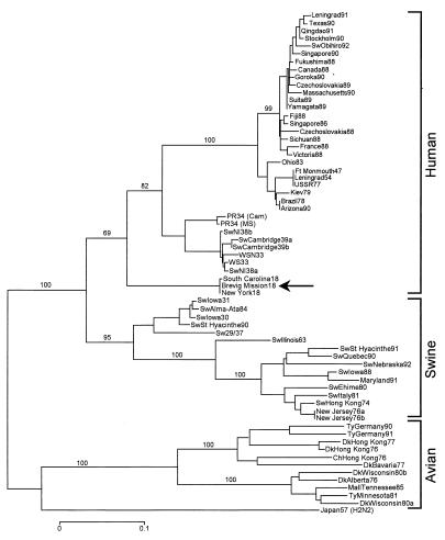 Figure 2