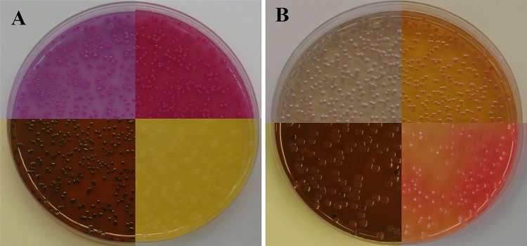 FIG 2