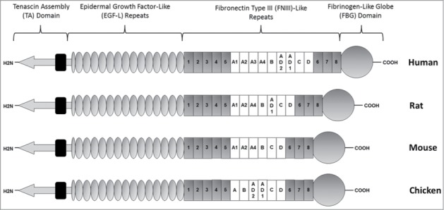 Figure 2.