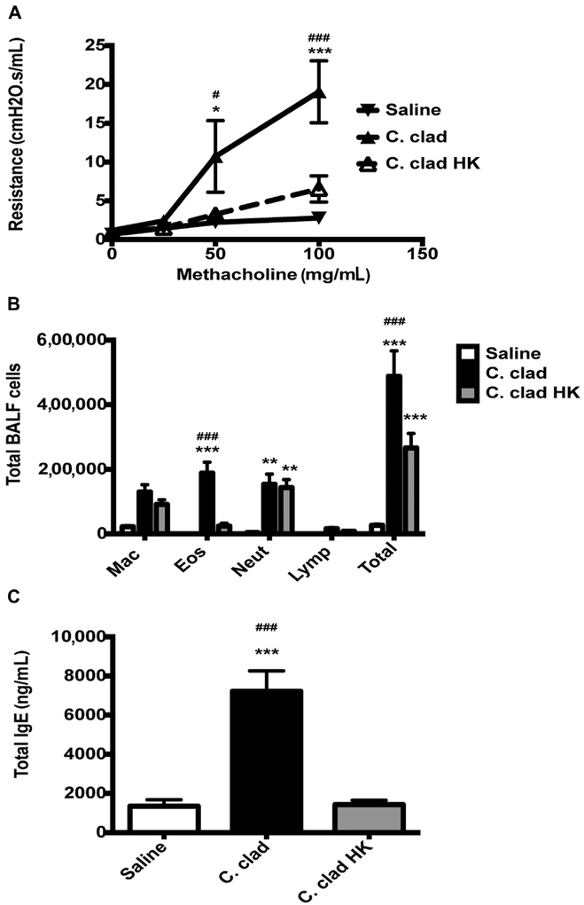 FIG 1.