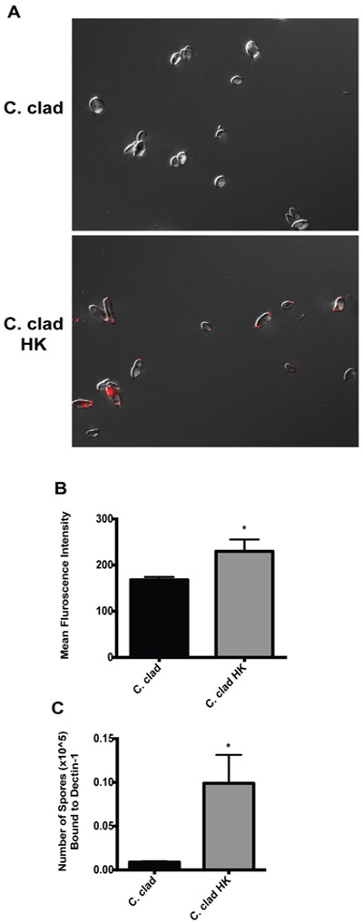 FIG 3.