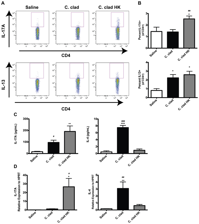 FIG 2.