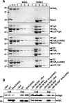 FIG 4