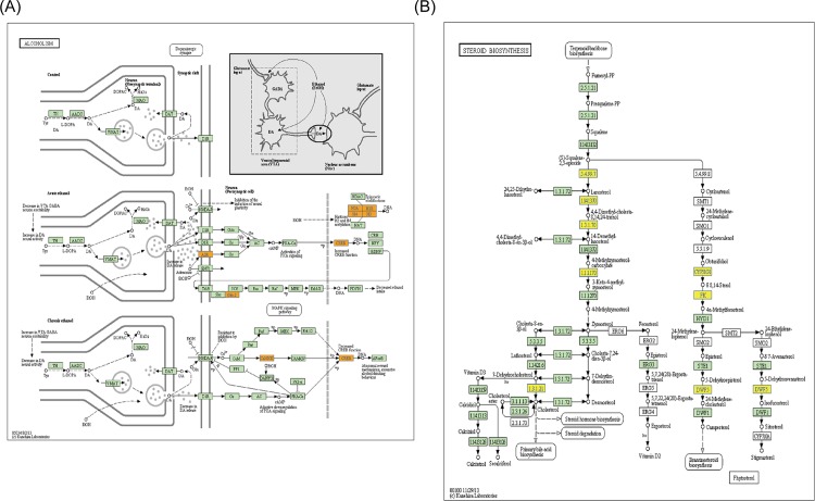 Fig 4