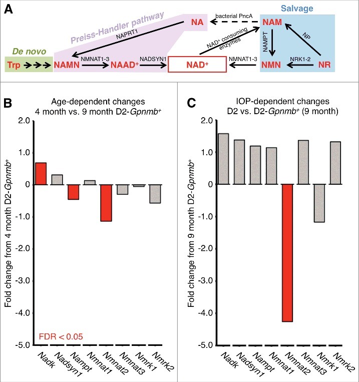 Figure 3.