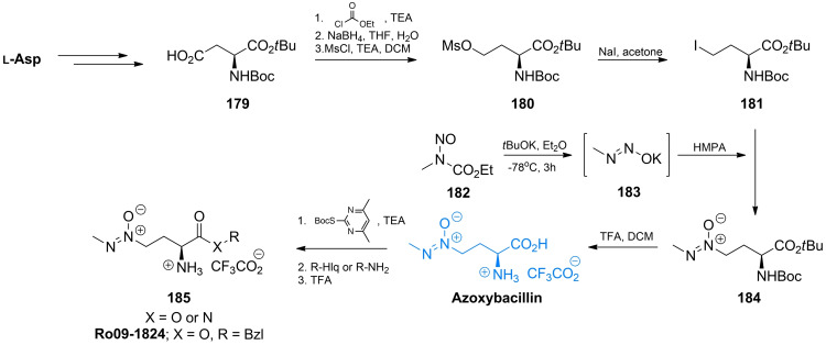 Scheme 25