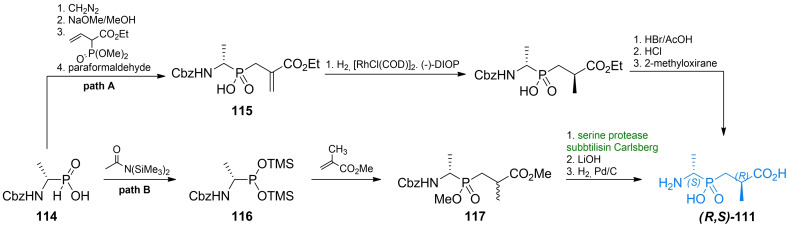 Scheme 16