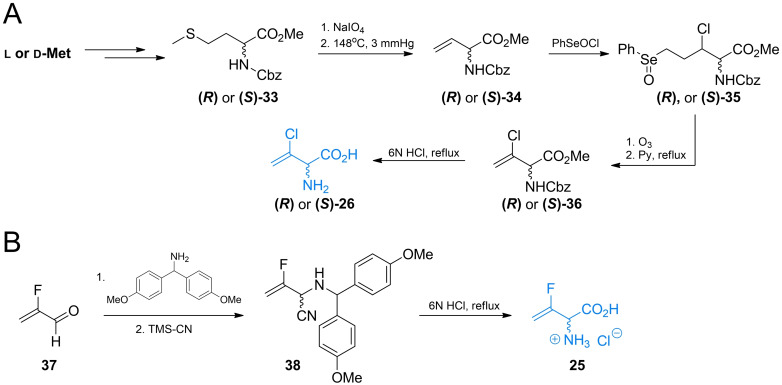 Scheme 6