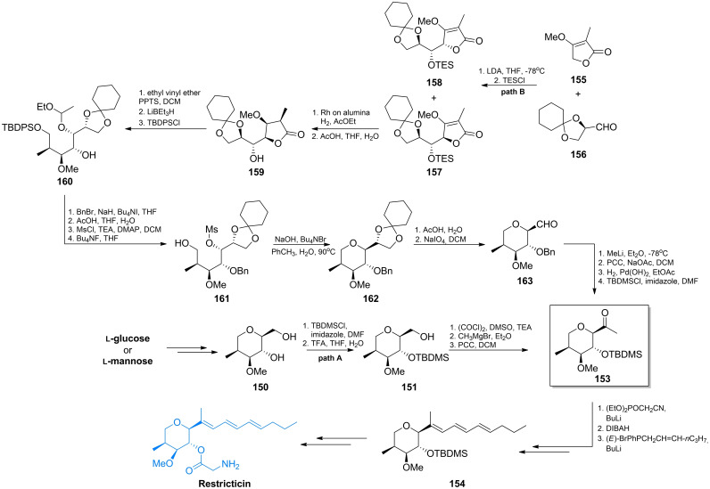 Scheme 22