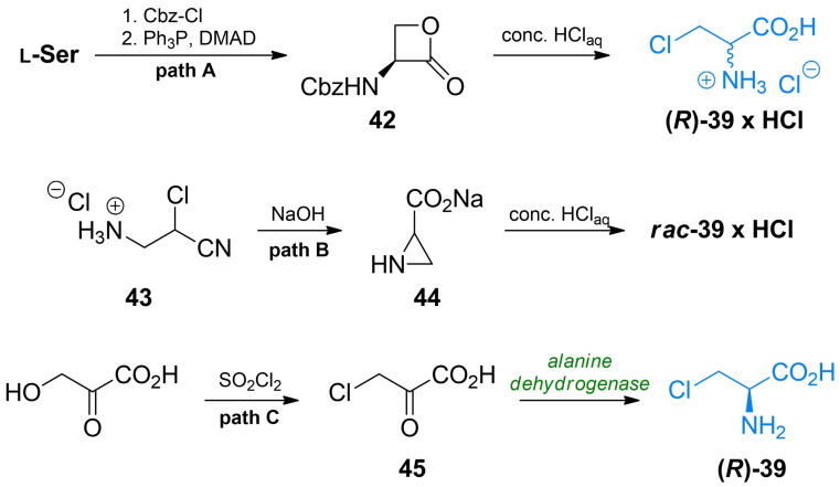 Scheme 7