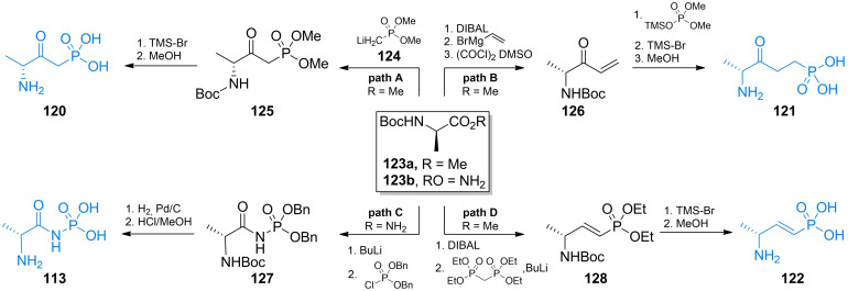 Scheme 18