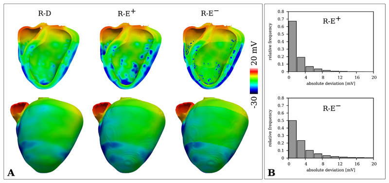 Fig. 6