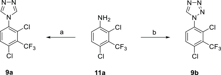 Scheme 4