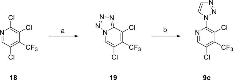 Scheme 5