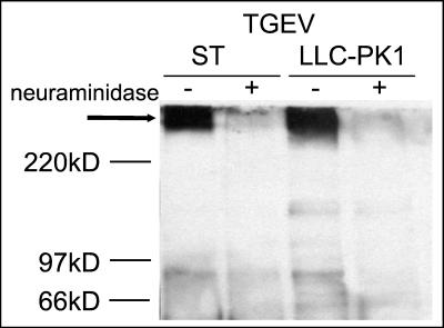 FIG. 5.