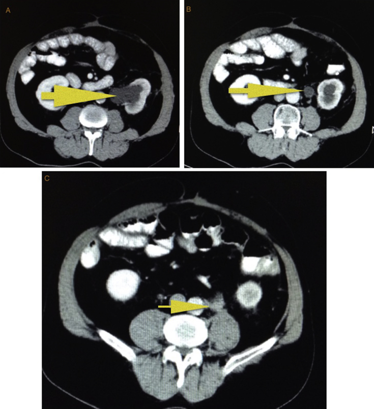 Fig. 3