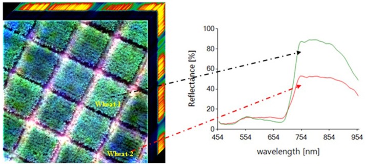 Figure 6