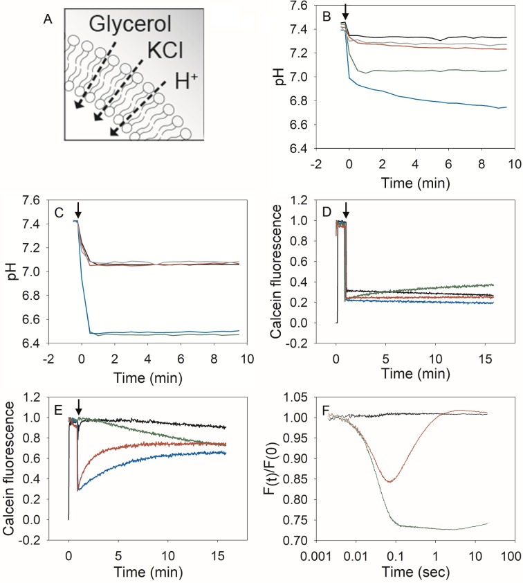 Fig 4