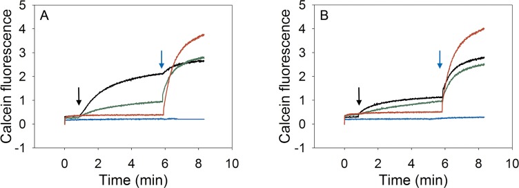 Fig 5