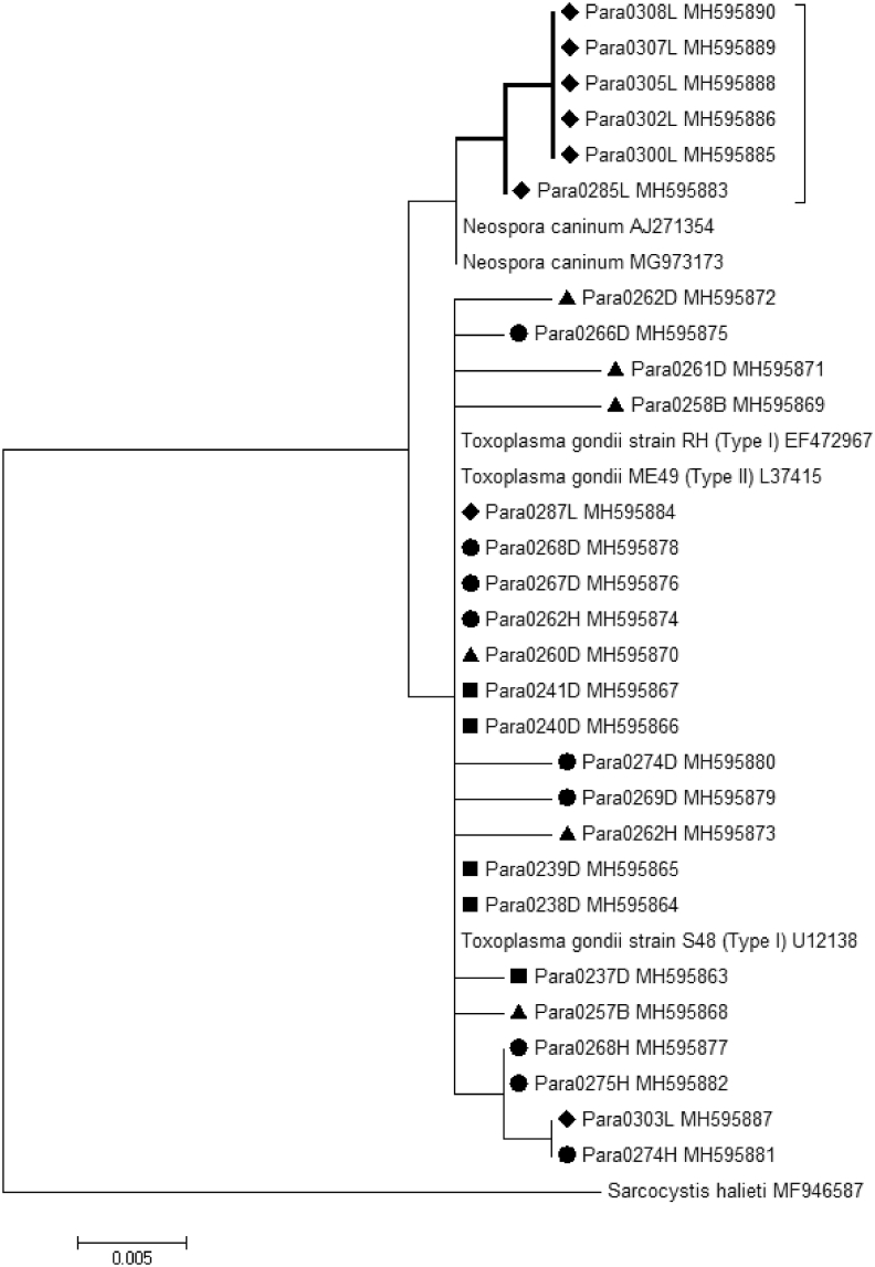 Fig. 2